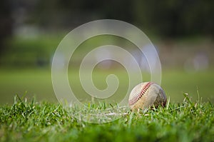 Used baseball on fresh green grass