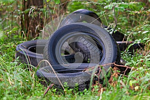 Used car tires discarded in the wood - nature pollution with consumer waste