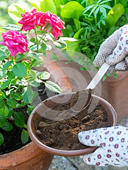 Used coffee grounds as a compost. Great fertilizer for plants and vegetables..