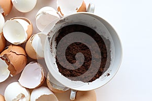Used coffee grounds and eggshells for organic compost for plant. T photo