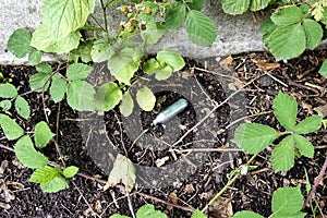 A used and discarded Nitrous Oxide canister lying on the ground amongst weeds