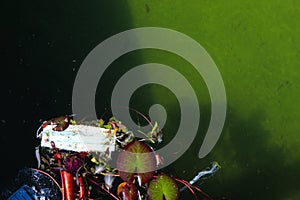 Used face mask thrown into water / lake. Coronavirus is contributing to POLLUTION