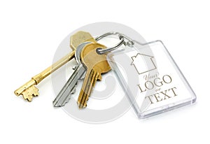 Used House keys photo