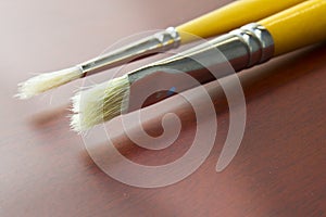 Used Paint brushes