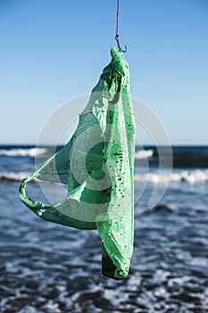 Used plastic bag in a fish hook