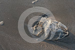 Used plastic bag garbage on sand beach