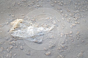 Used plastic bag and Salp Jelly balls are thrown on the seashore of a beach. ItÃ¢â¬â¢s pollution on the beach. photo