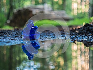 Used plastic bottle littering the forest, wood logs in the background