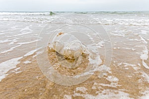 Used plastic cup waste on beach shore and soak with waving sea,