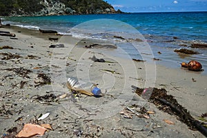 Used plastic water bottle washed up on the shore of a tropical beach, highlighting the worldwide crisis of plastic pollution on