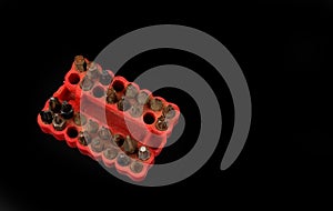 Used screwdriver bits in a red rubber organizer