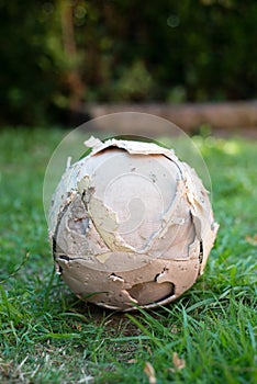 Used soccer ball