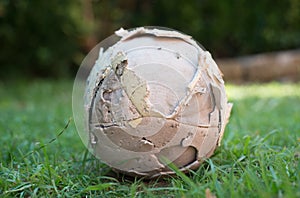 Used soccer ball