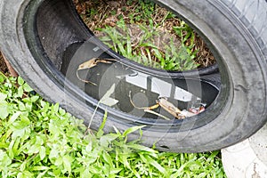 Used tyres potentially store stagnant water and mosquitoes breed