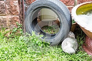 Used tyres potentially store stagnant water and mosquitoes breed