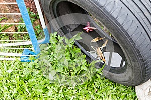 Used tyres potentially store stagnant water and mosquitoes breed