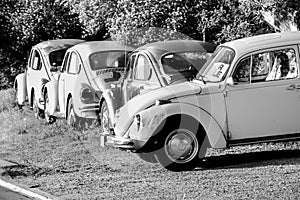 Used Vintage Cars In Late Afternoon Sunlight