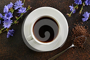 Useful chicory drink and flowers. Healthy herbal beverage, coffee substitute. Top view.
