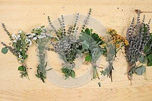 Useful wild herbs and leaves on old wooden background, alternative medicine concept