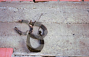 Useless horse shoes