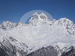 Ushba - two-headed snowy peak in Georgia, Elevation 4,710 m