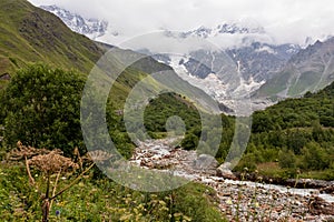 Ushguli- Patara Enguri River flowing down the valley in the Greater Caucasus Mountain Range in Georgia. Flowers