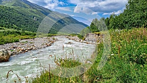 Ushguli- Patara Enguri River flowing down the valley in the Greater Caucasus Mountain Range in Georgia. Flowers