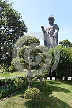 Ushiku Daibutsu ,Buddha Statue in garden Japan photo