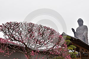 Ushiku Daibutsu is tallest Buddhist statue photo