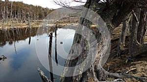 Ushuaia - Parque Nacional