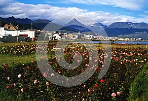 ushuaia-tierra del fuego-argentina panoramic view with buildings and houses patagonia with sky with clouds