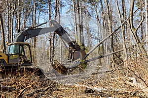 Using a backhoe excavator worker uproots trees from forest, preparing ground to be built on