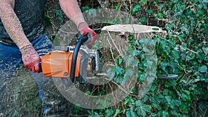 Using a chainsaw on a tree stump