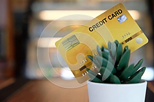 Using a credit card Debits for online purchases Enjoy shopping from your computer, laptops and mobile phones using a credit card