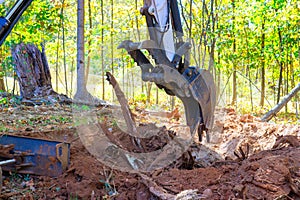 Using excavator, worker uproots trees in preparation for construction of a new building