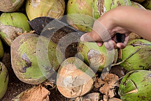 Using Knife to Chopped Coconut for Cooking.