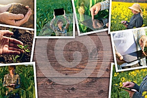 Using modern technology in agriculture, photo collage