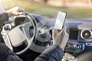 Texting and looking at screen while driving using mobile cell phone in car