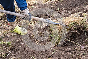 Using a shovel to plant in the soil for gardening purposes