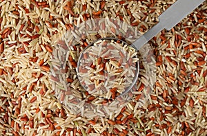 Using a tablespoon to take a portion of long grain brown rice and red rice