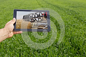 Using tablet on wheat field. Modern Agriculture. Wheat futures c