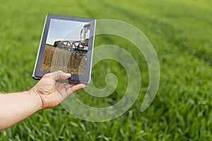 Using tablet on wheat field. Modern Agriculture. Wheat futures c