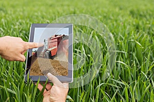 Using tablet on wheat field. Modern Agriculture. Wheat futures c