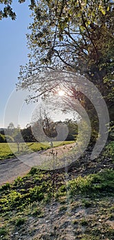 Usingen spring outdoor sun