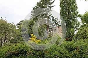 USK CASTLE THROUGH THE TREES