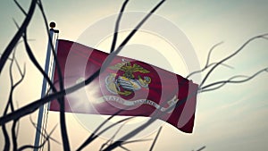 Usmc military flag united states marine corps - video animation