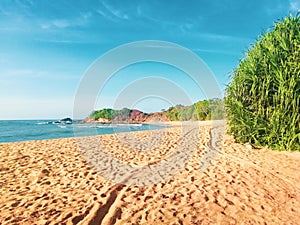 Ussangoda National Park. Beach camping area in srilanka