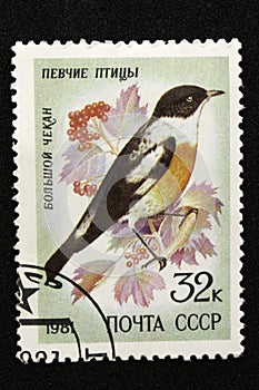 The USSR postage stamp, series - Songbirds, 1981