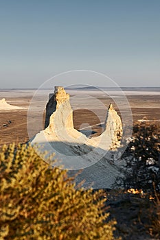 Ustyurt Plateau. The bottom of a dry ocean Tethys. Mangistau, Kazakhstan.