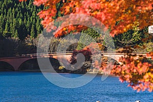 Usui Lake autumn photo